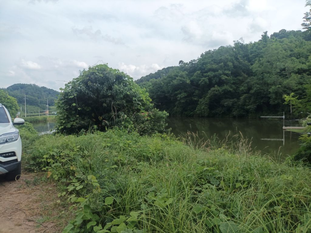 4607845caf7462ab366beace980fa82189ef7028.jpg