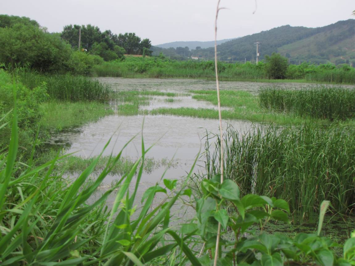 STA_1481.JPG