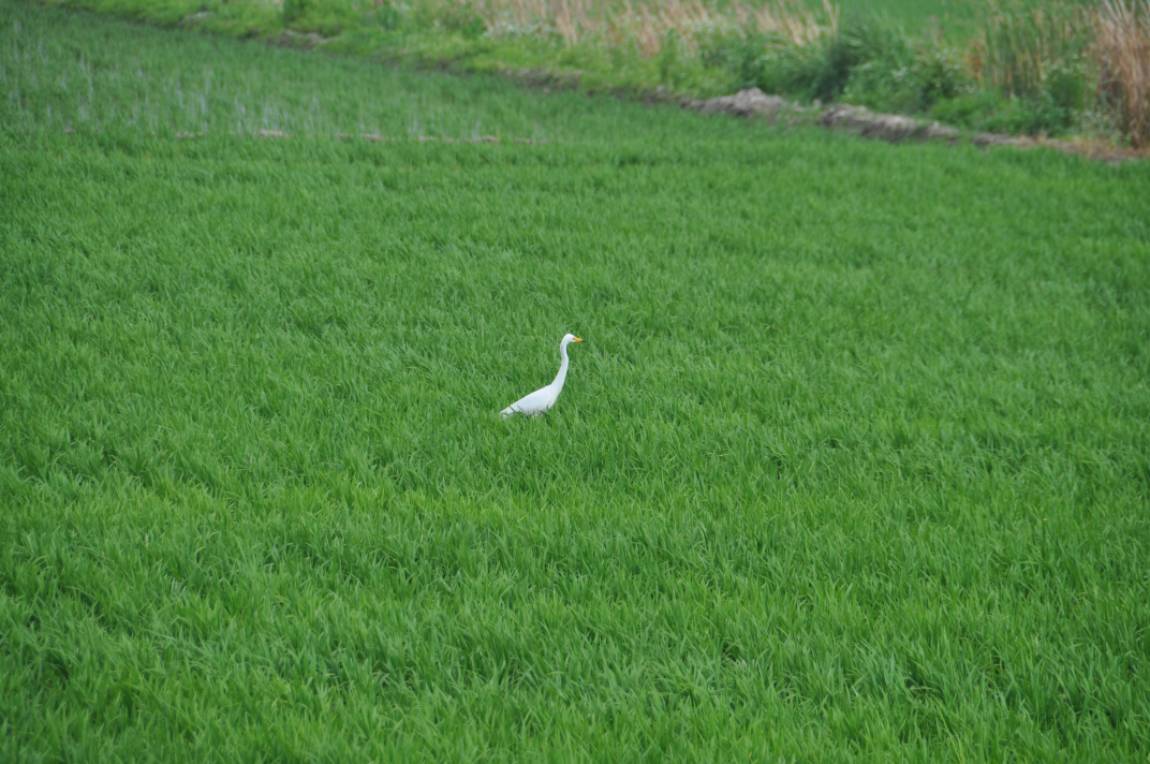DSC_0026.JPG