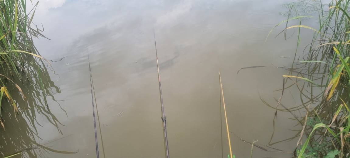20260723_181212.jpg