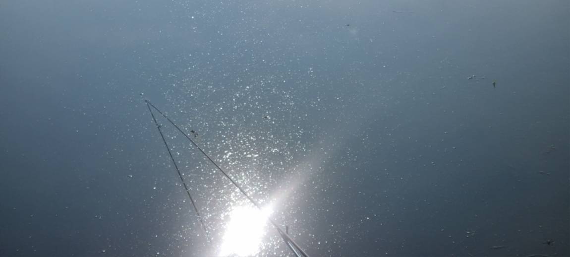 20260803_081550.jpg