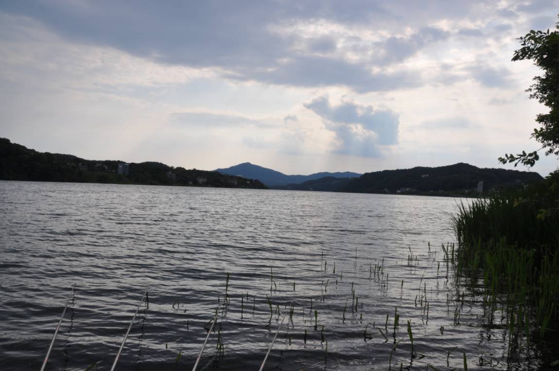 DSC_0009.JPG