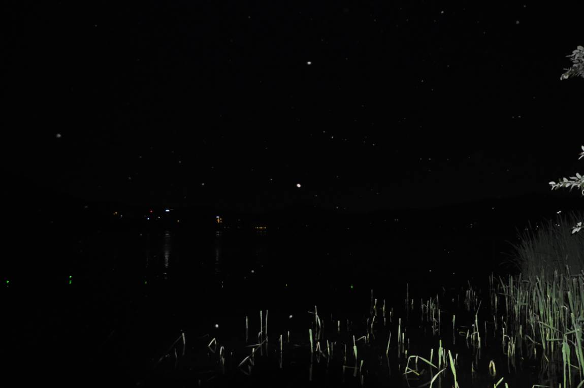 DSC_0012.JPG