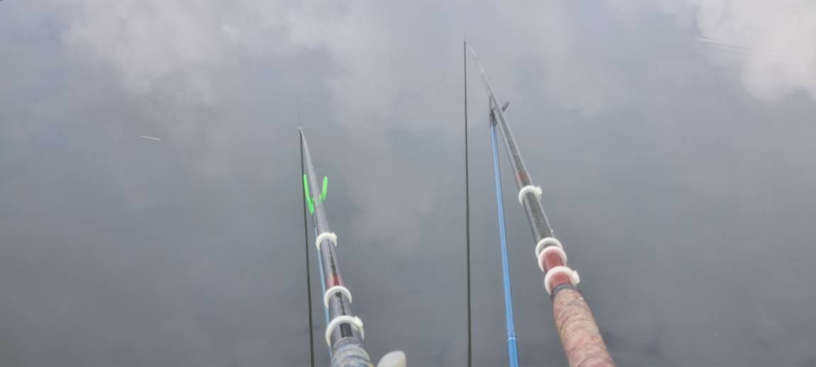 20260815_091613.jpg