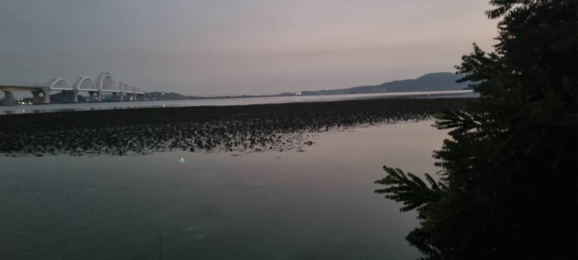20260824_052707.jpg
