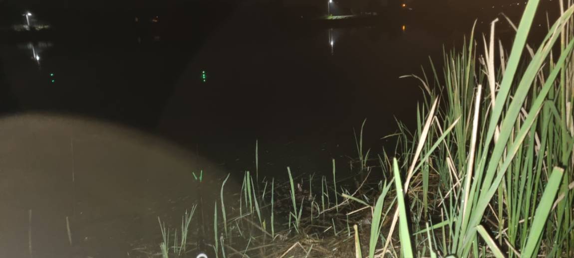 20260827_044005.jpg