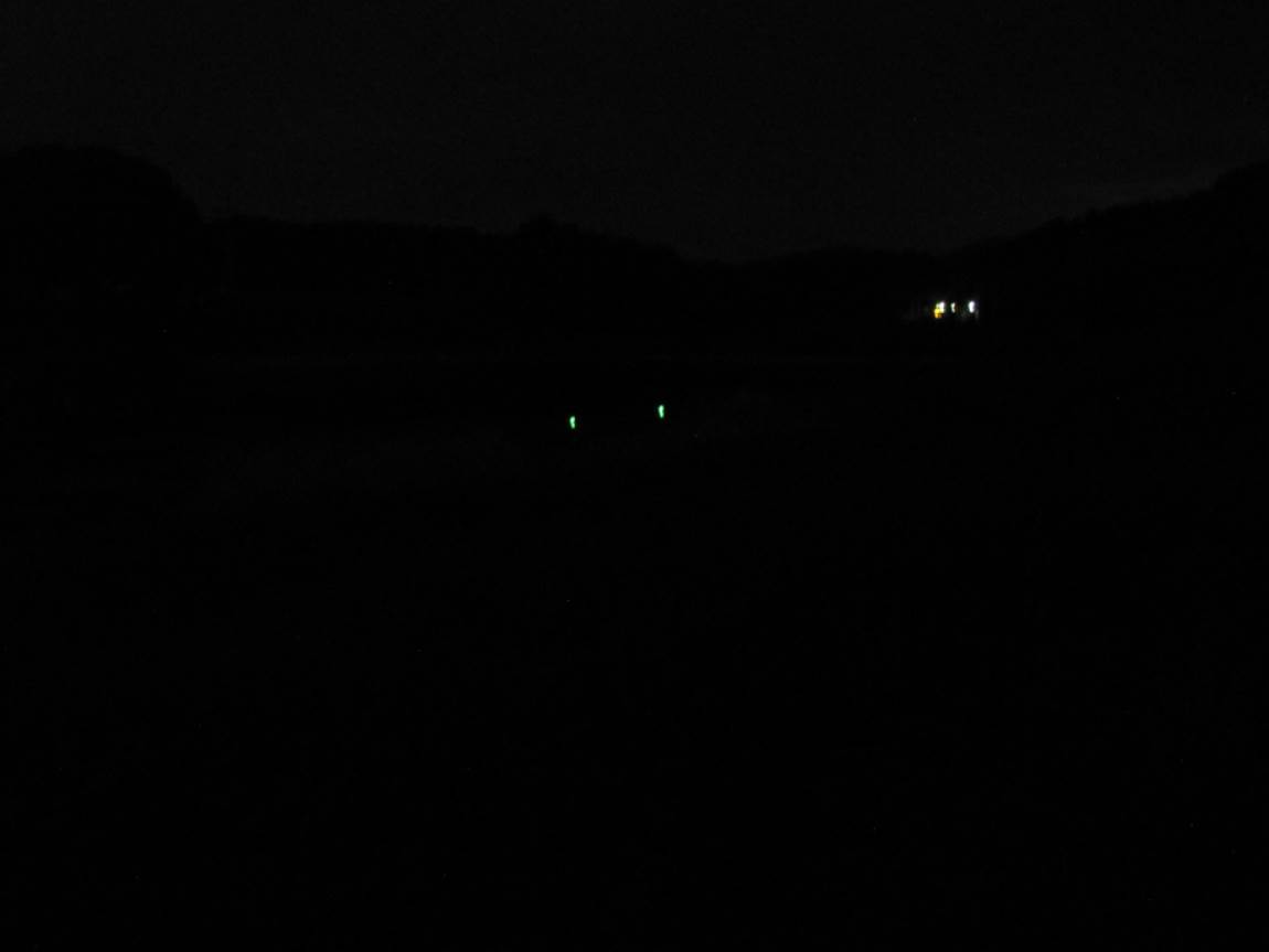 IMG_1895.JPG