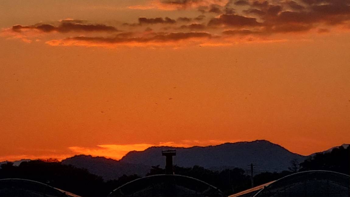 20260921_182029.jpg