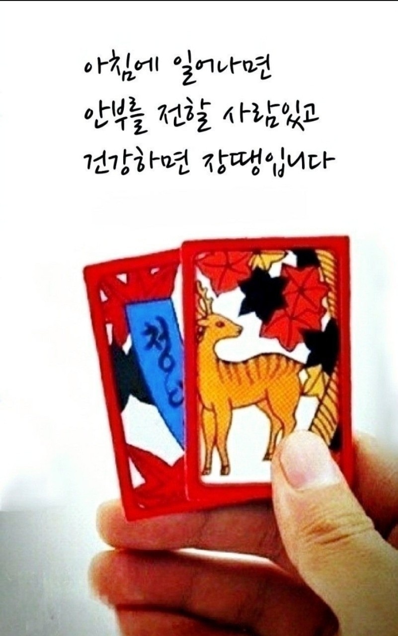 1782529883976[1].jpg