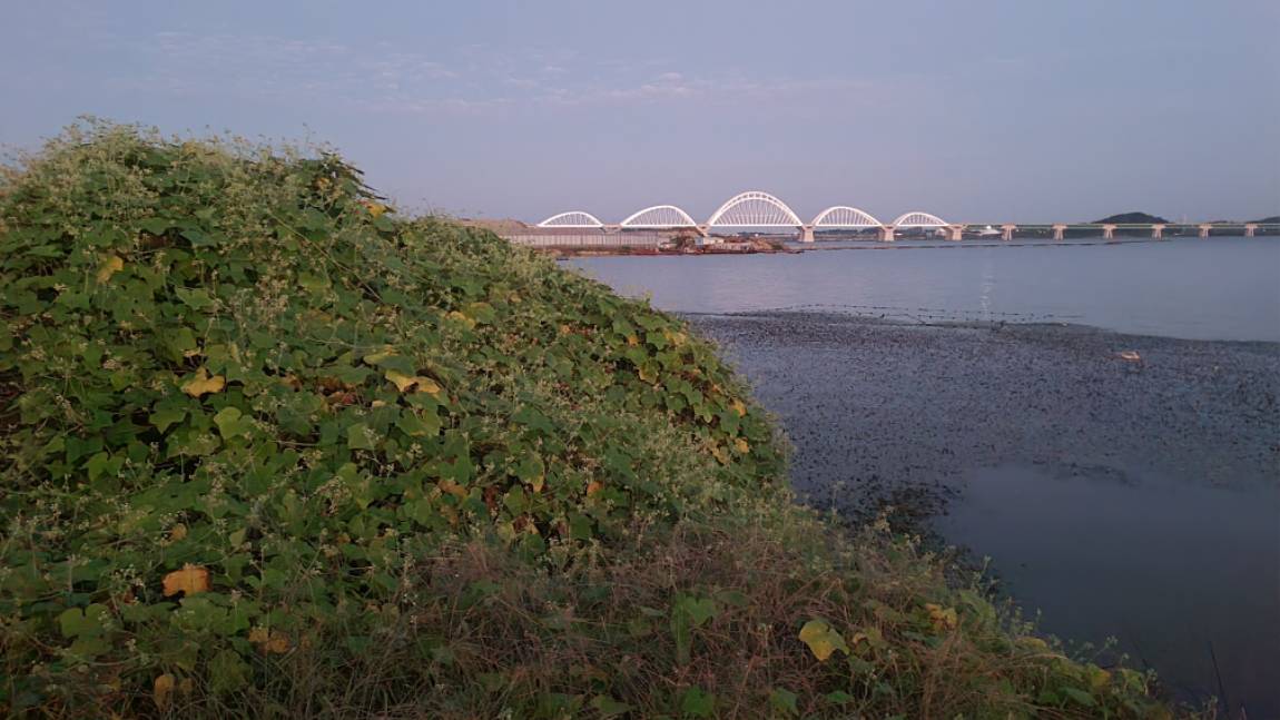 20260923_060243.jpg