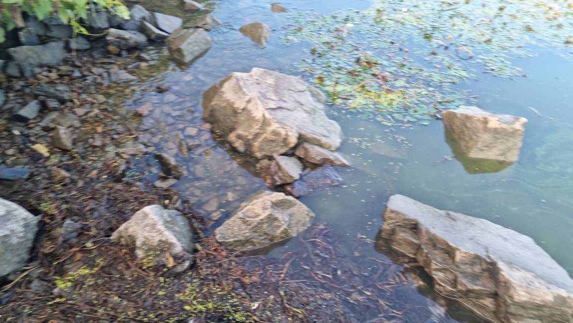 20260923_080125.jpg