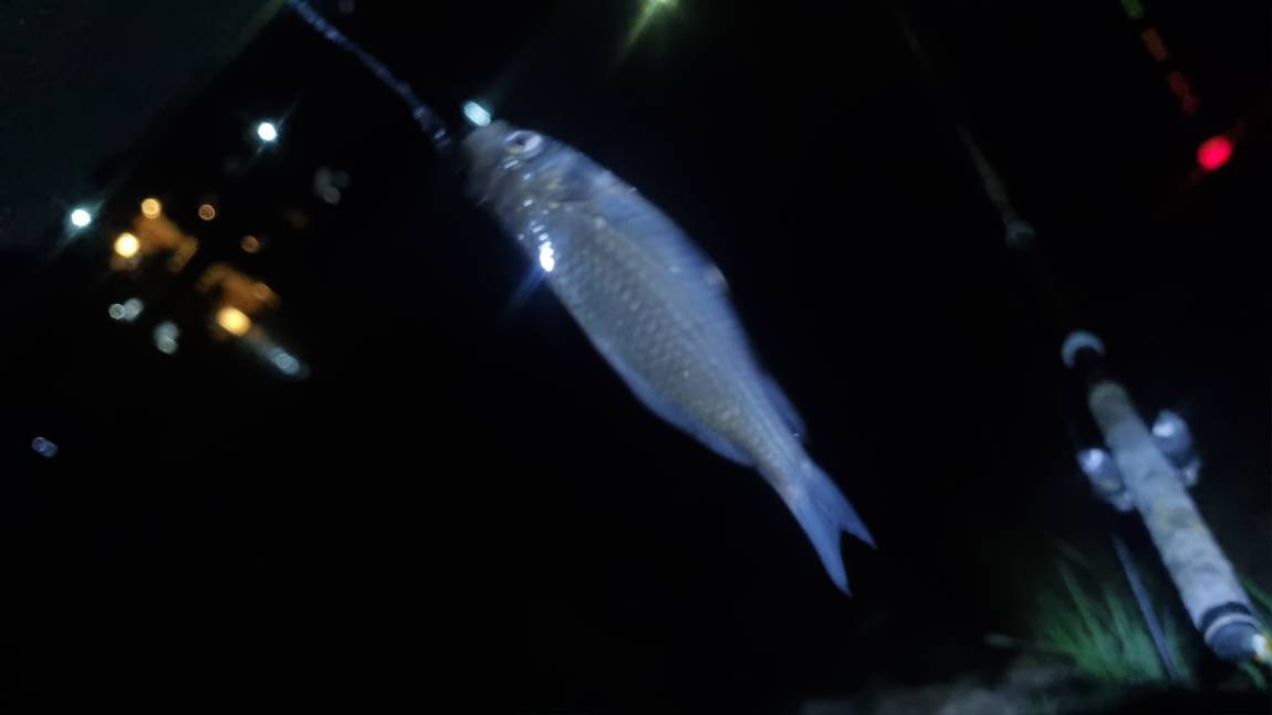 20260929_200037.jpg