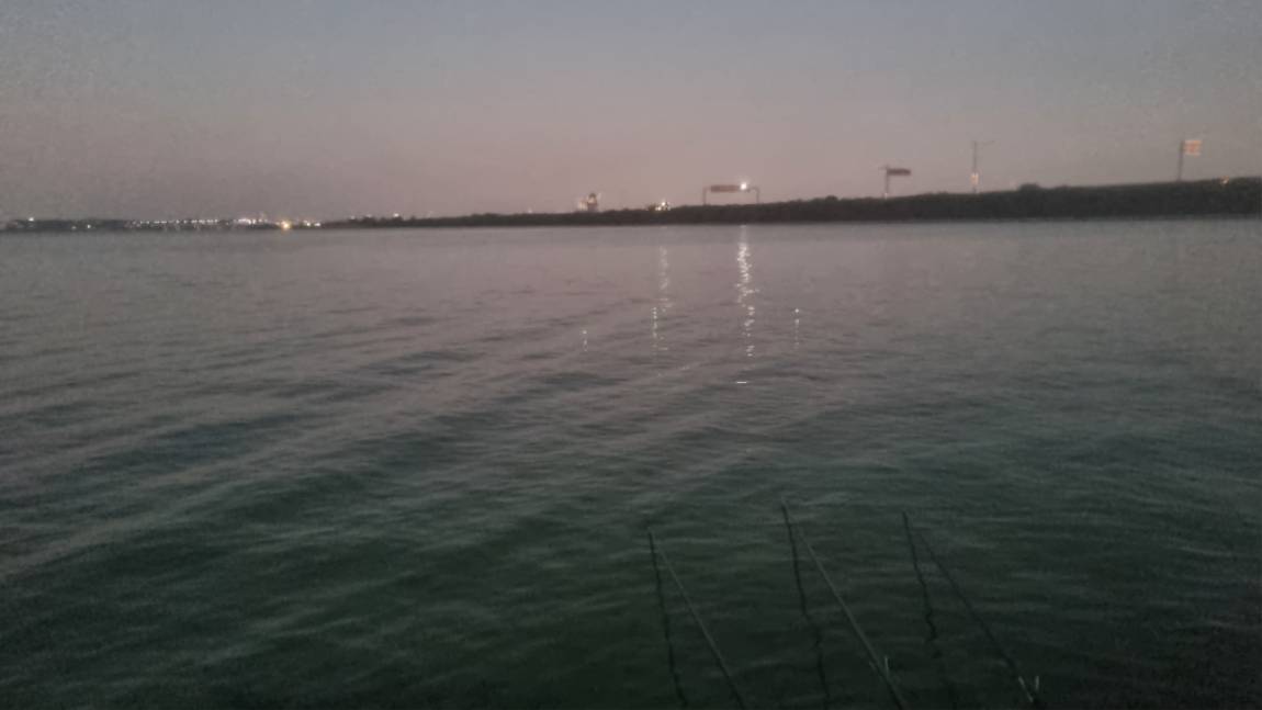 20261007_060538.jpg