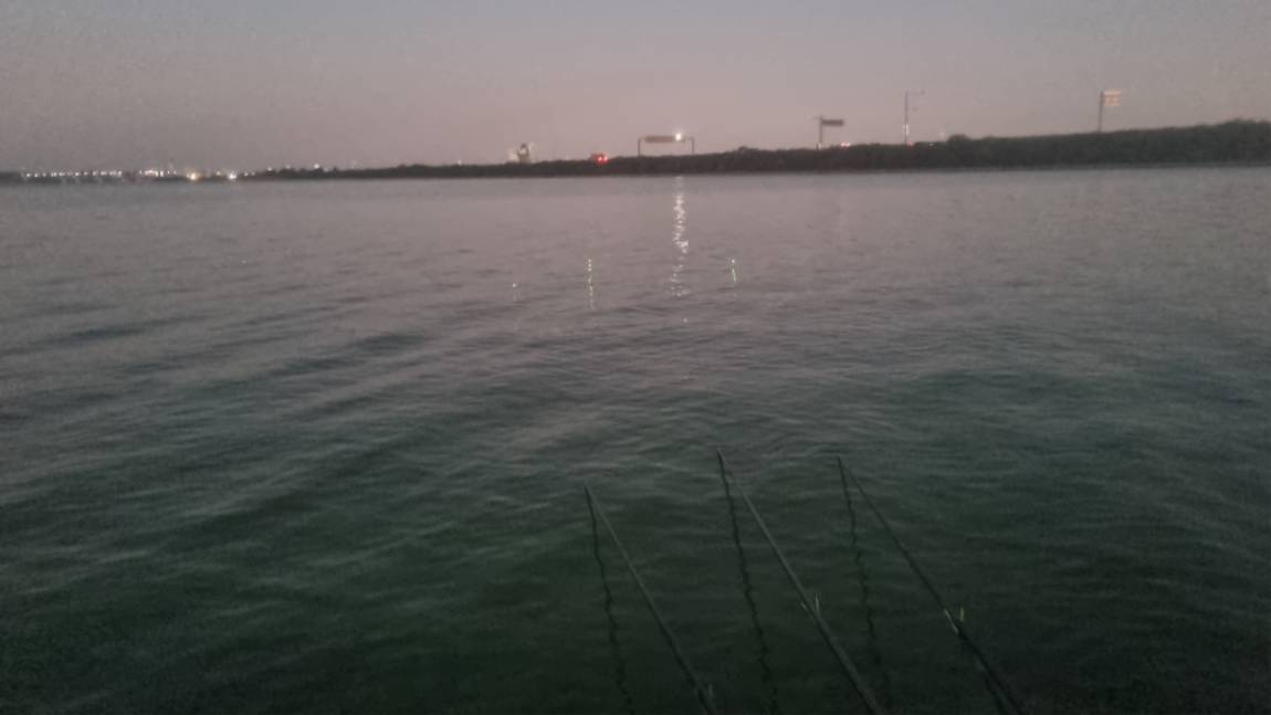 20261007_060555.jpg