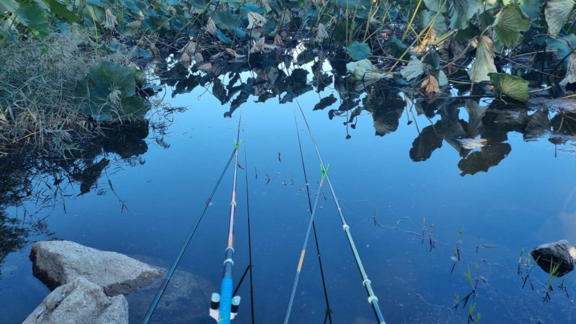 20261010_151536.jpg