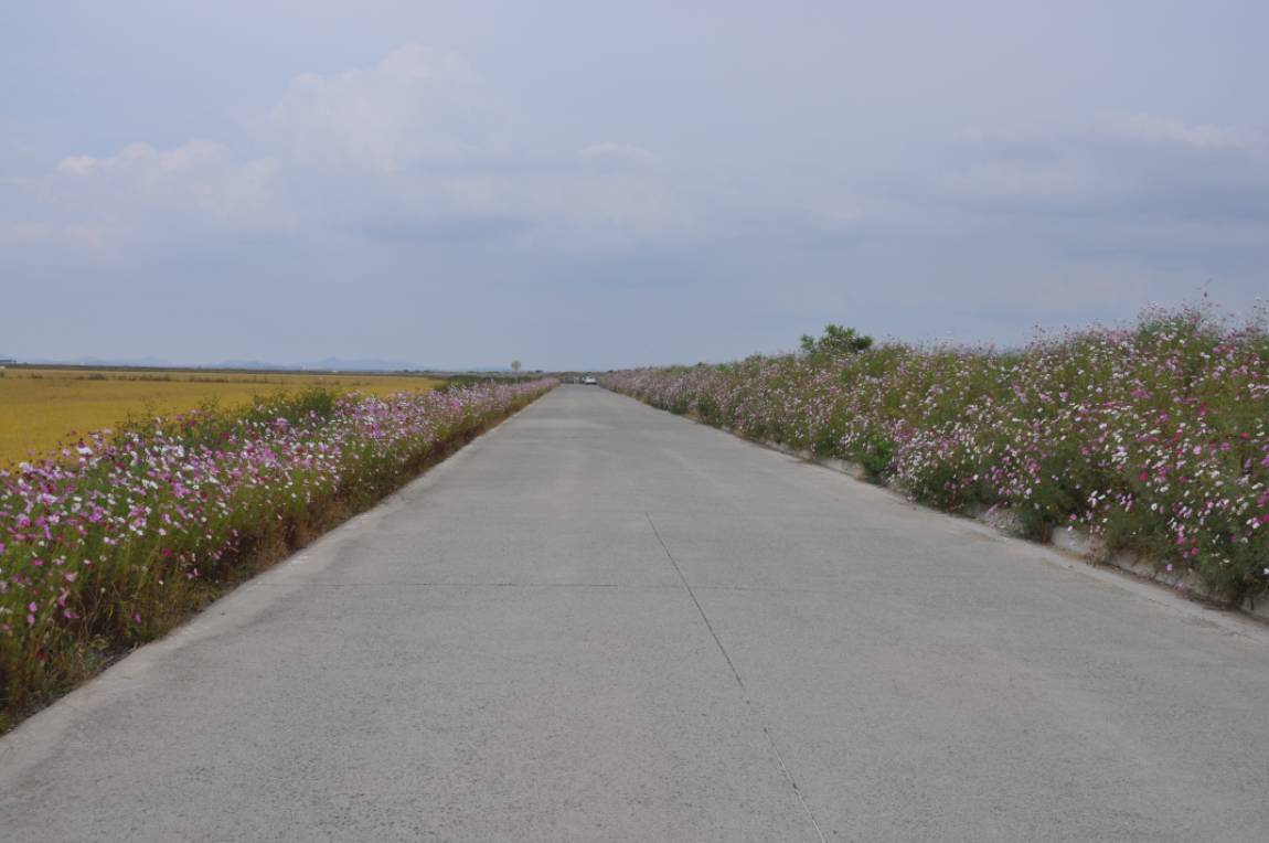 DSC_0007.JPG