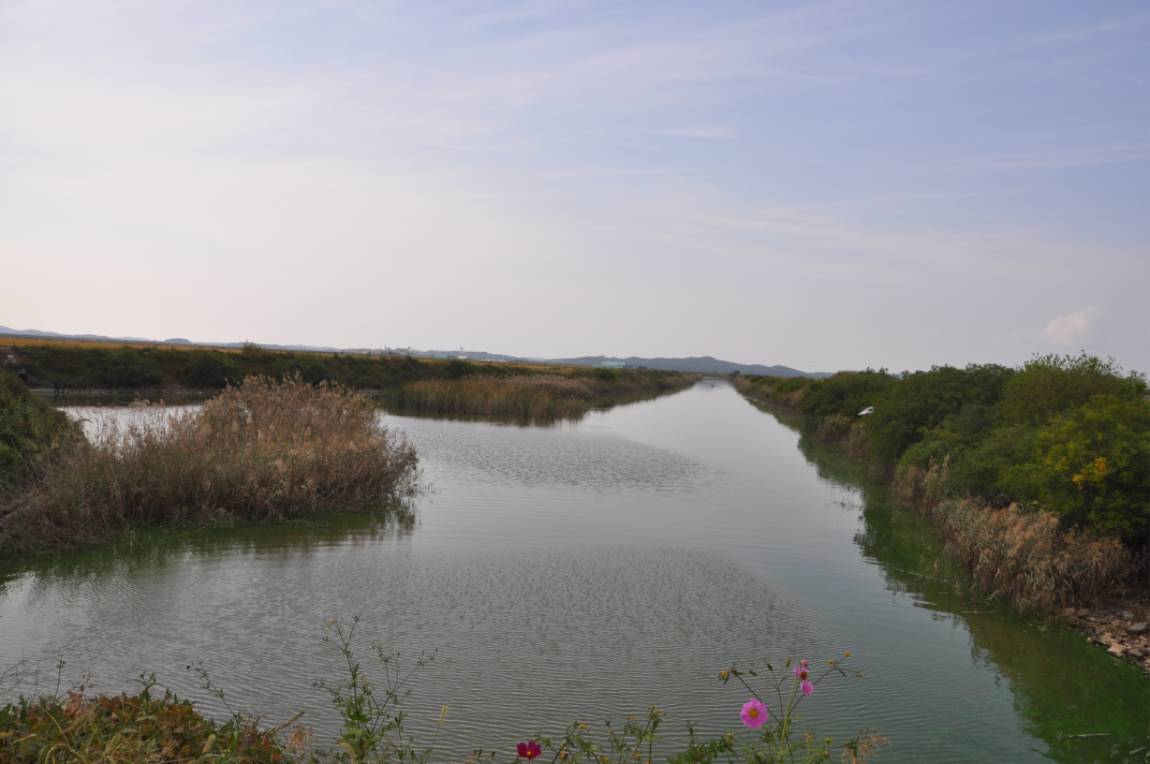 DSC_0009.JPG