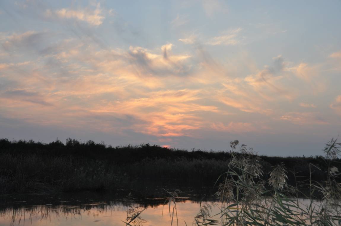DSC_0012.JPG