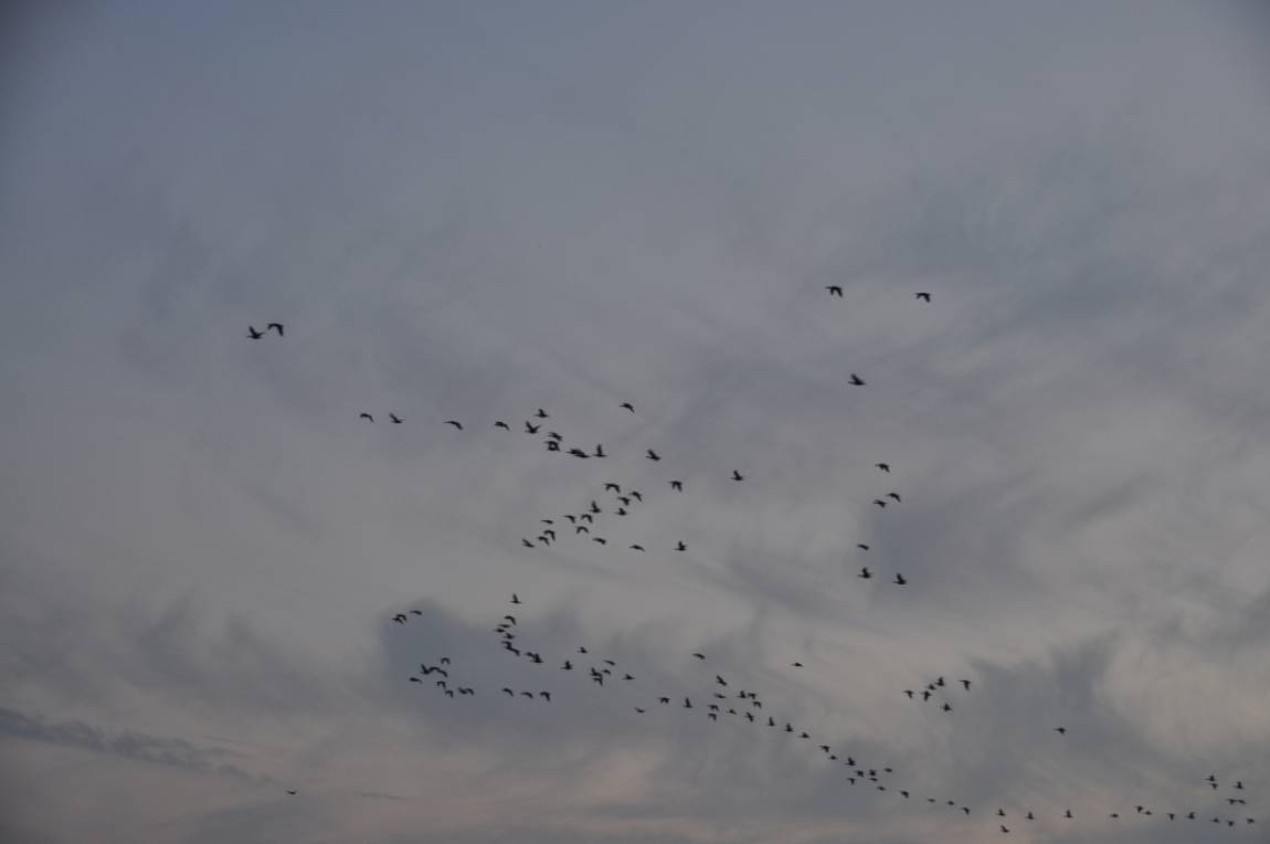 DSC_0014.JPG