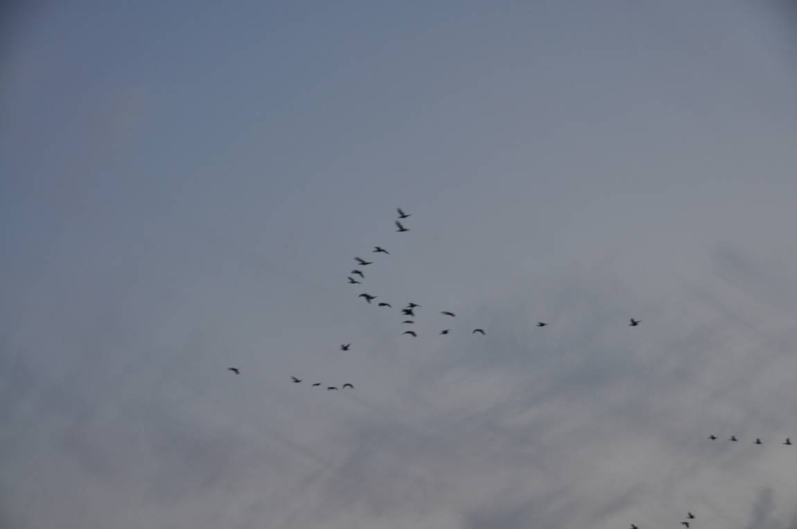 DSC_0015.JPG