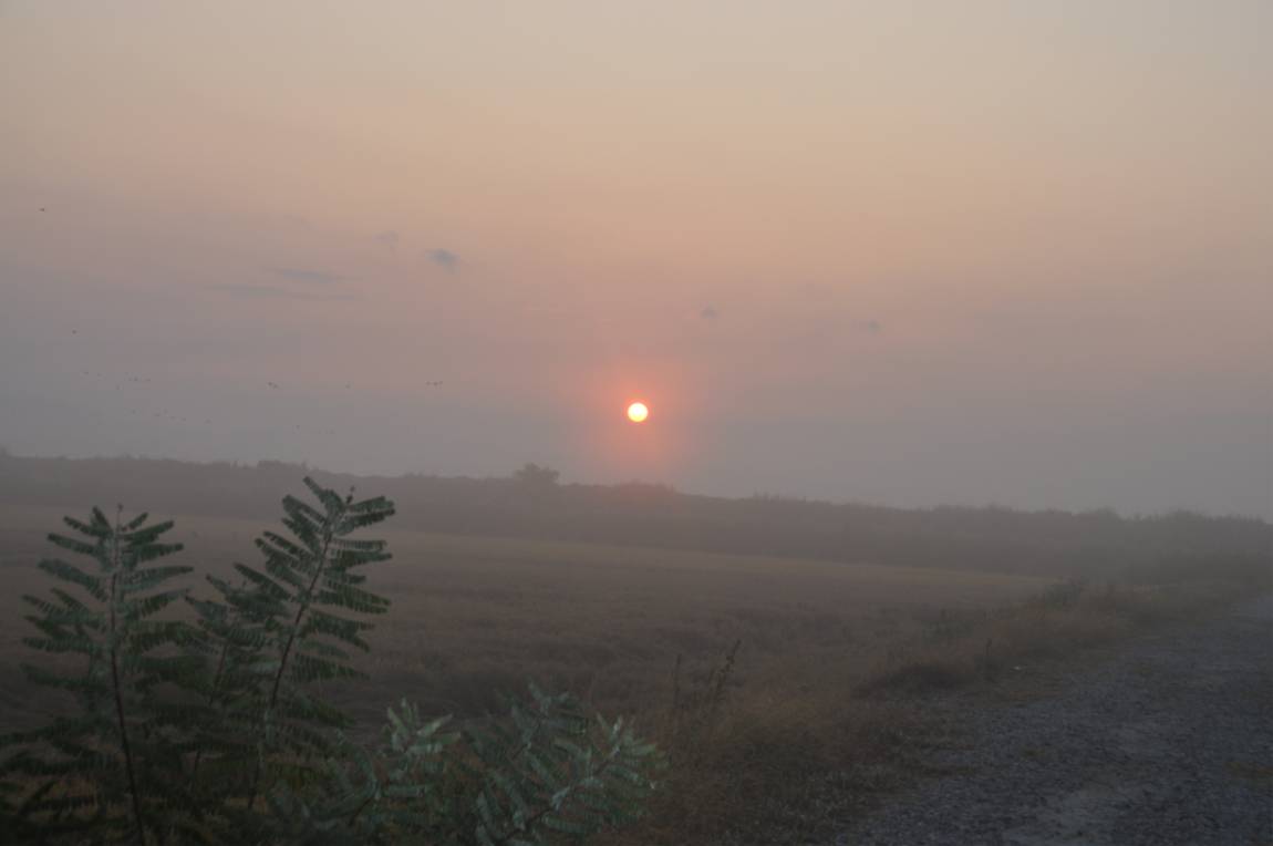 DSC_0021.JPG