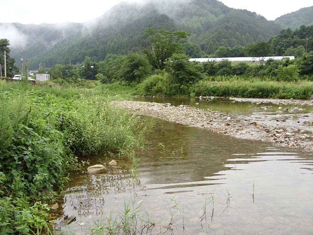 바다하늘산 > 강원도로 떠난 3박 4일의 휴가 (休暇) ... 2011.8.11 ~ 8.14 ... : 낚시사랑
