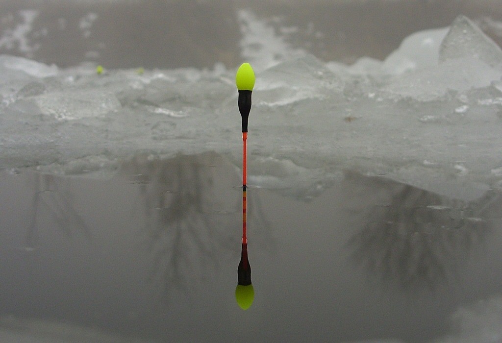 54.jpg