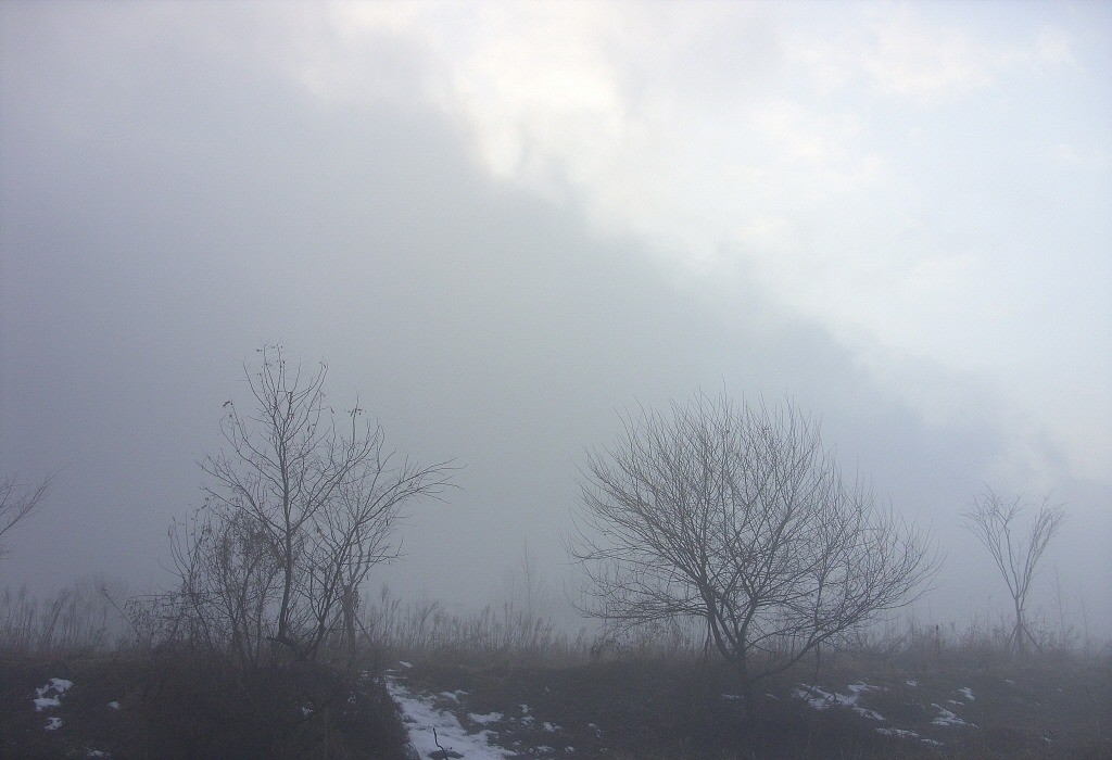 65.jpg