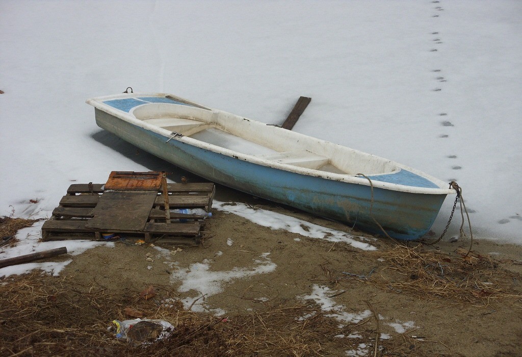 77.jpg