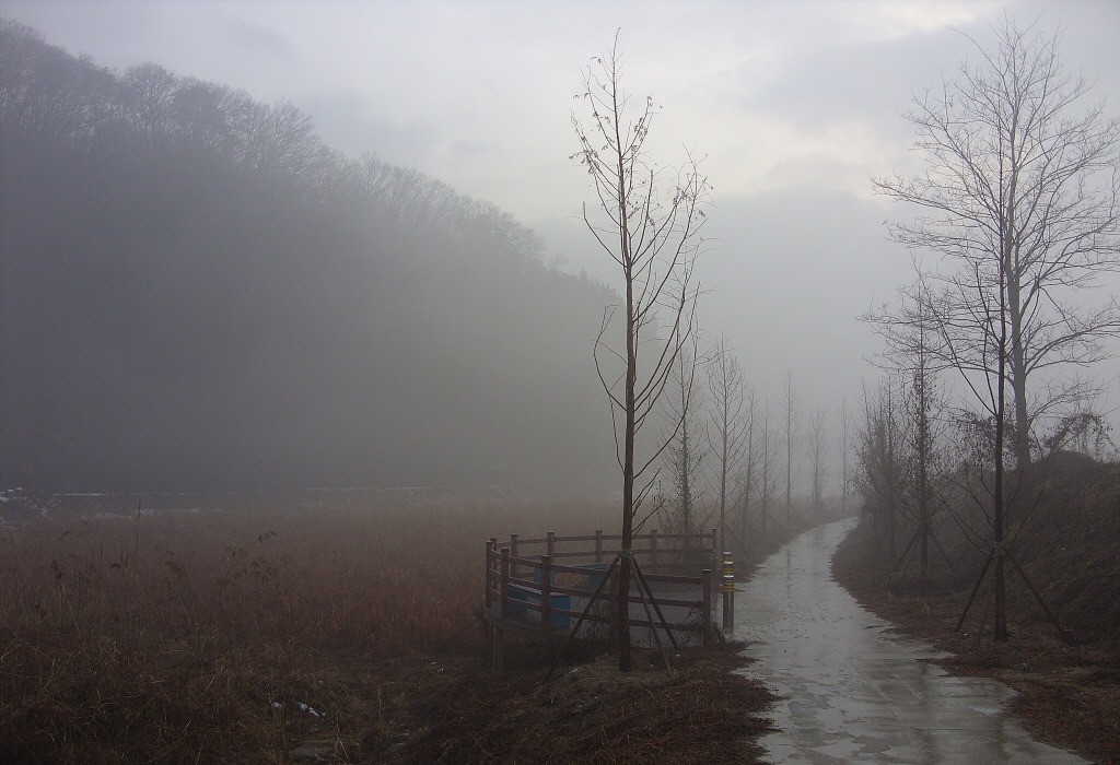78.jpg