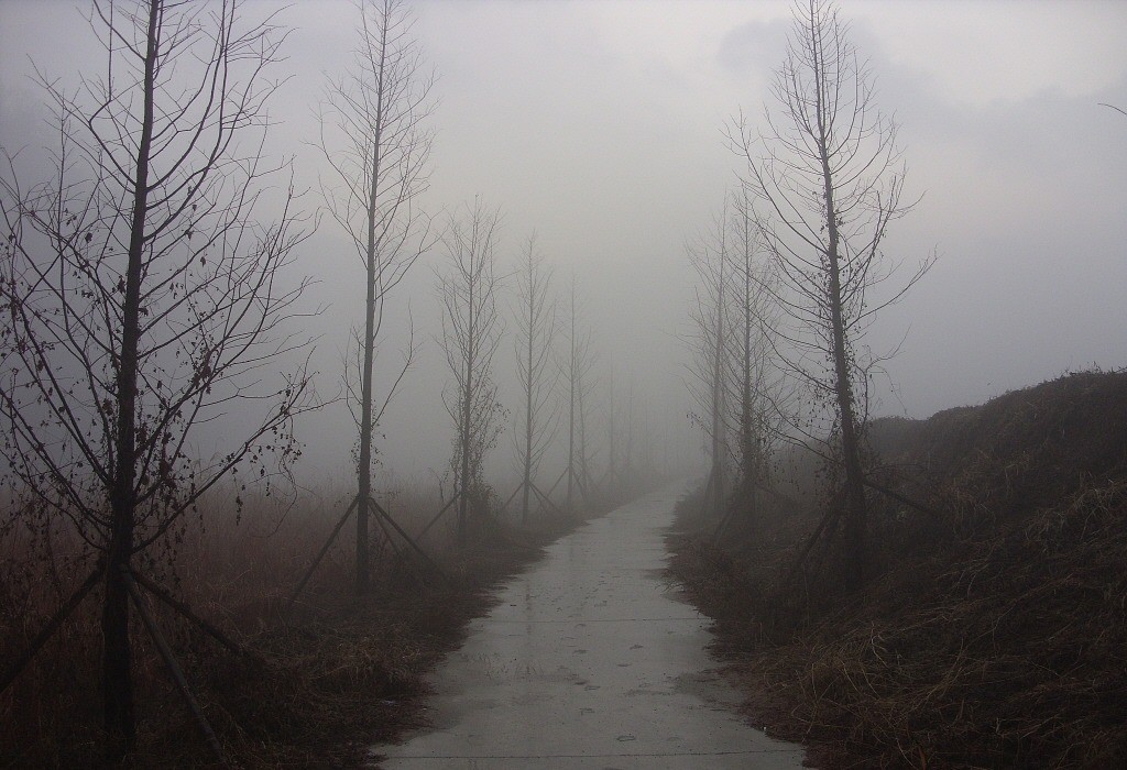87.jpg
