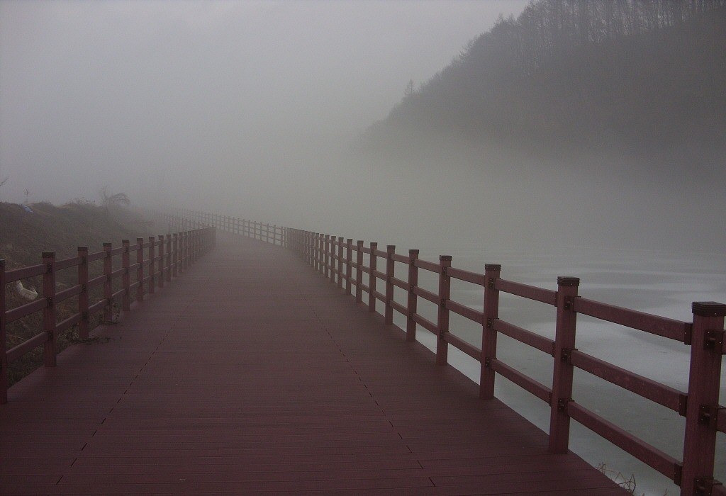 89.jpg
