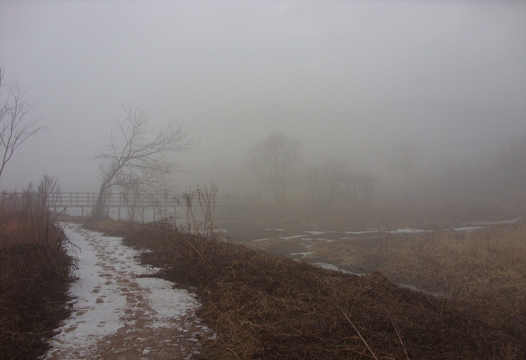 90.jpg