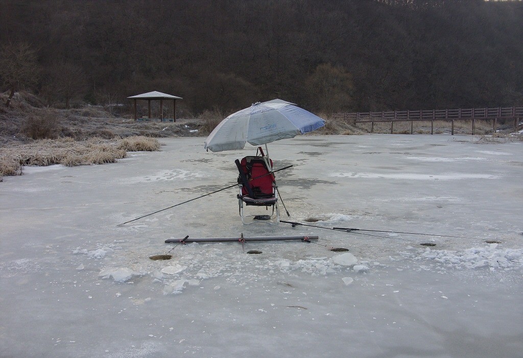 103.jpg