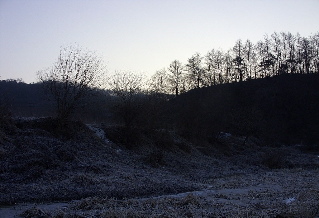 105.jpg
