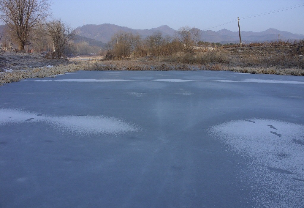 109.jpg