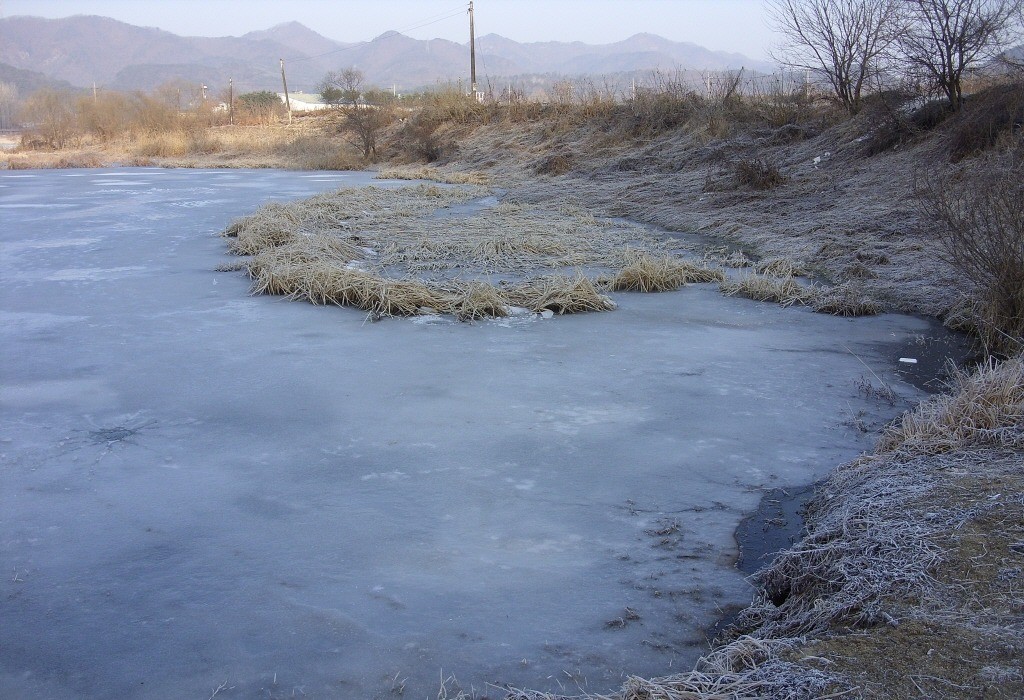 112.jpg