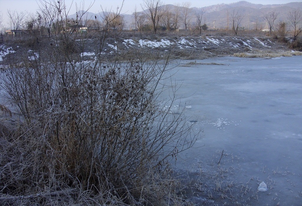 114.jpg