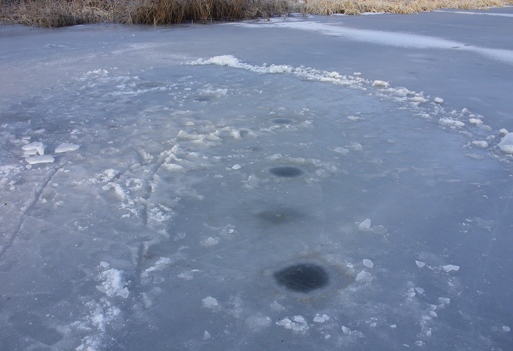 116.jpg