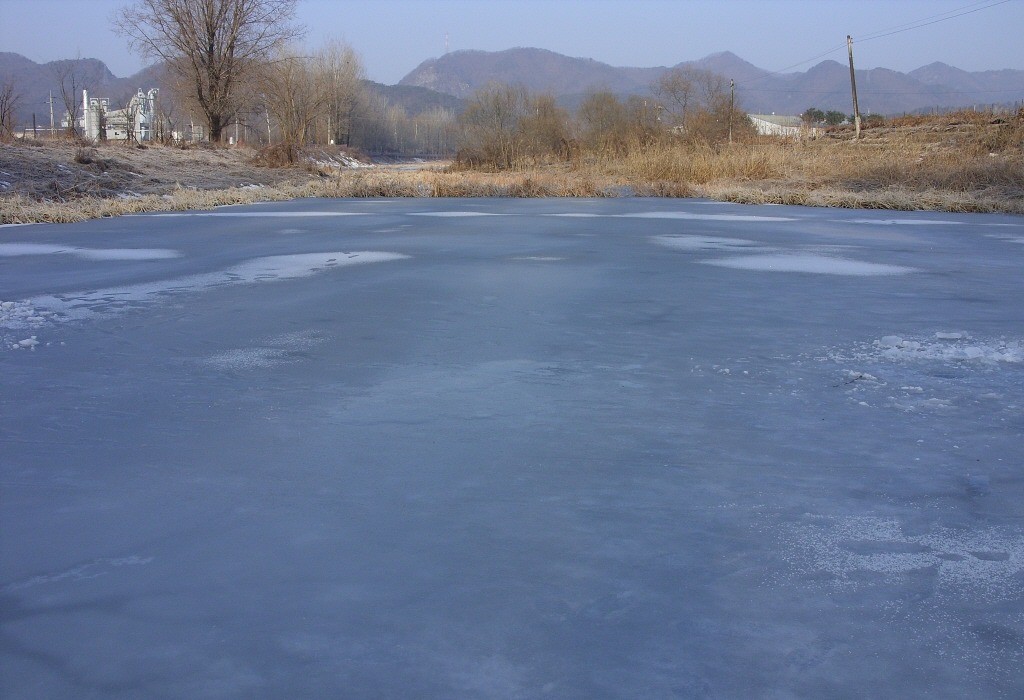 118.jpg