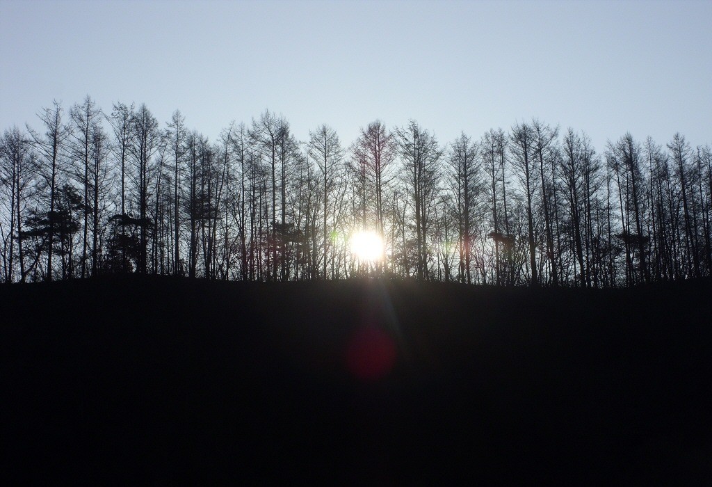 119.jpg