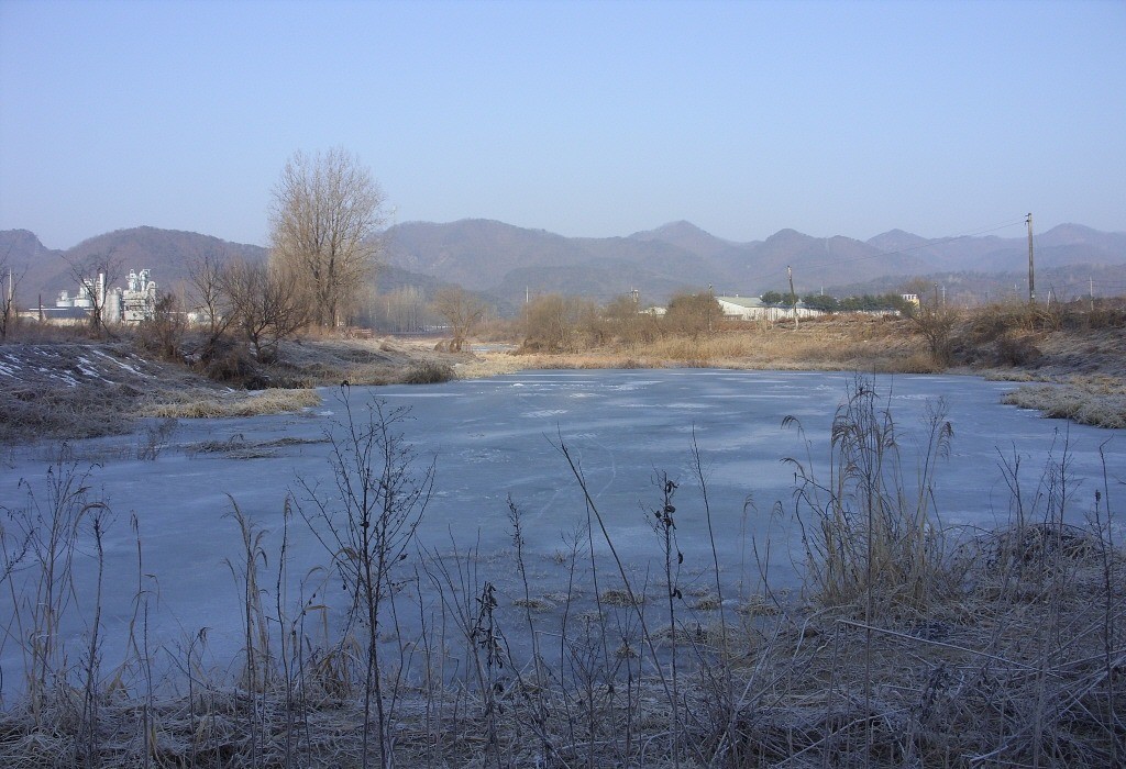124.jpg