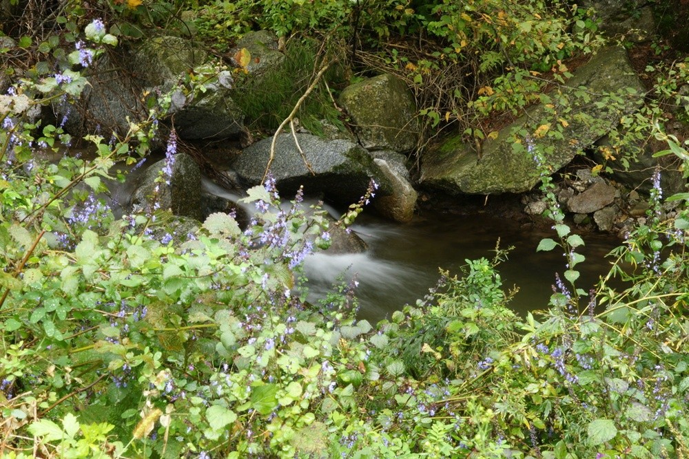 T009.jpg