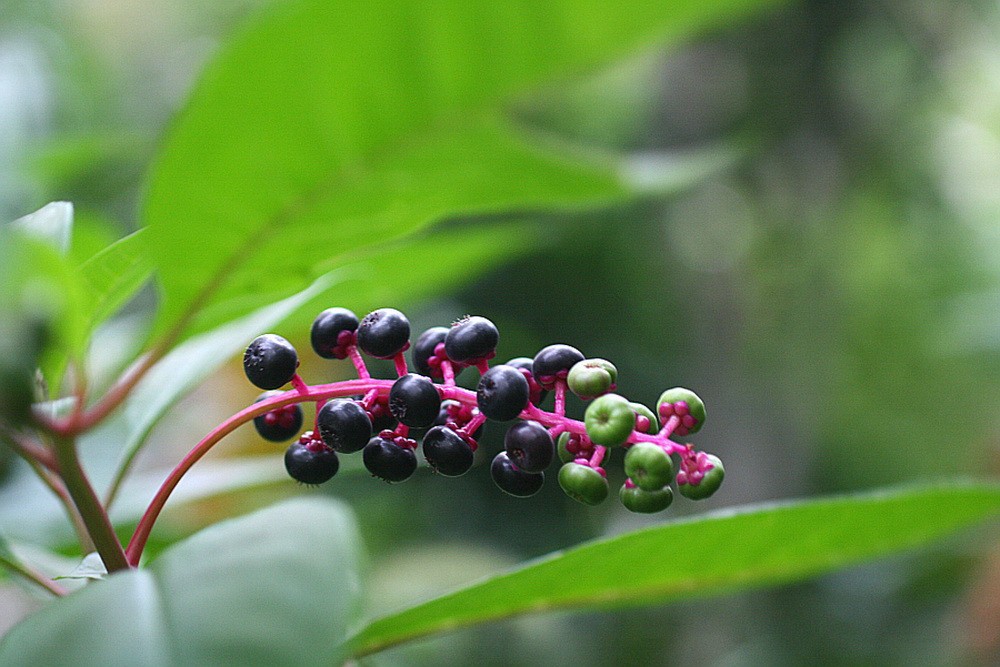 60 �̱����ڸ�.jpg