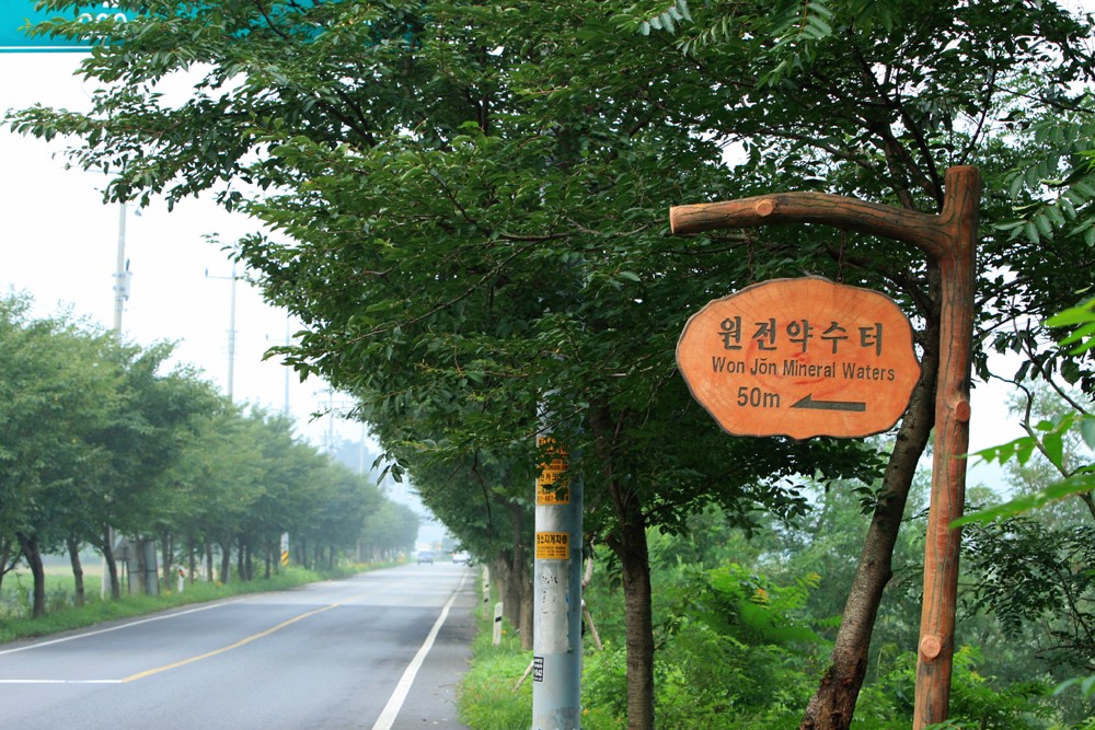 04.jpg