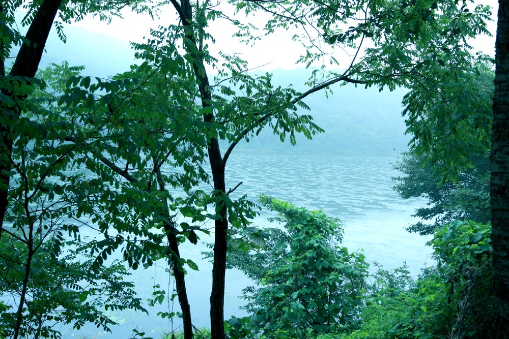 05.jpg