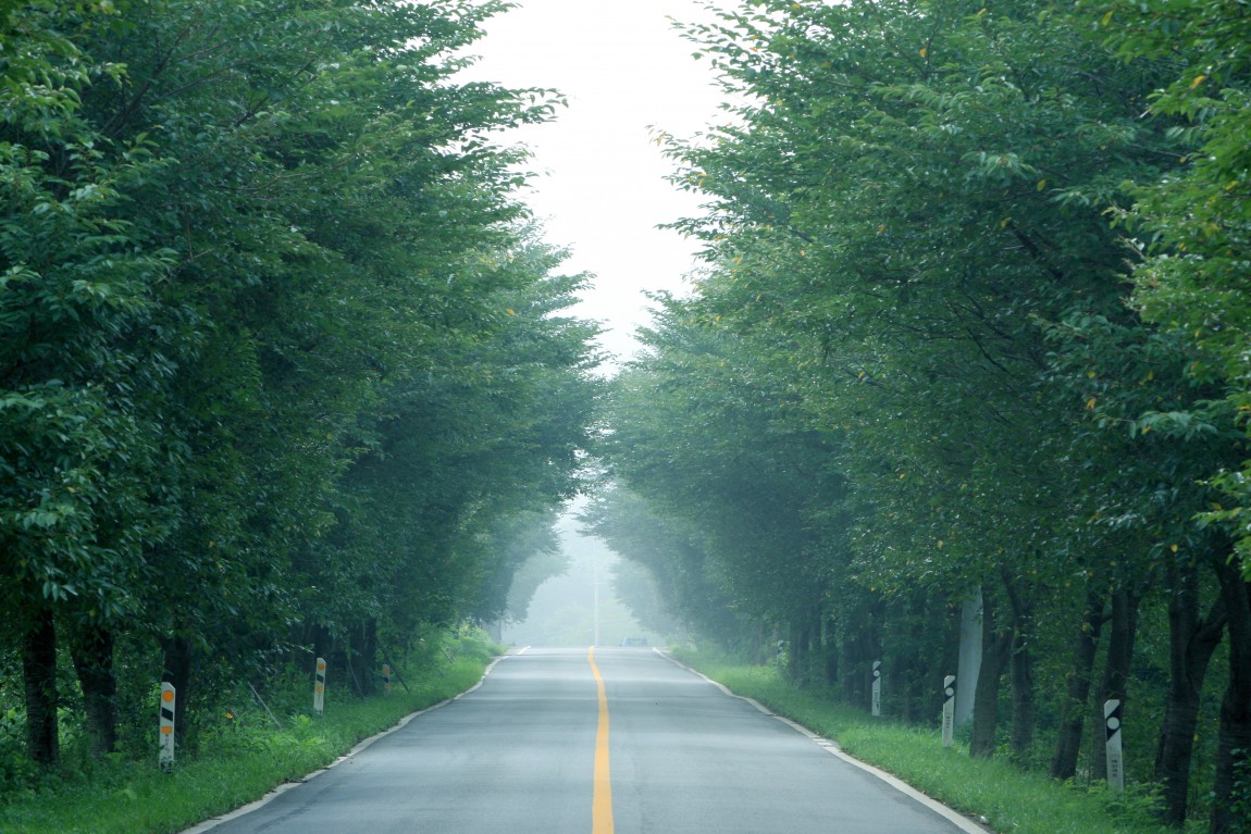 67.jpg