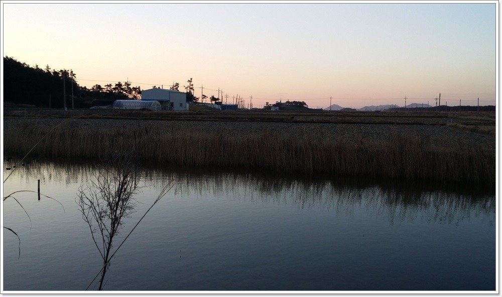 20140221_072729.jpg