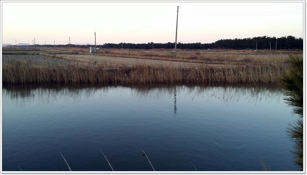 20140221_072735.jpg