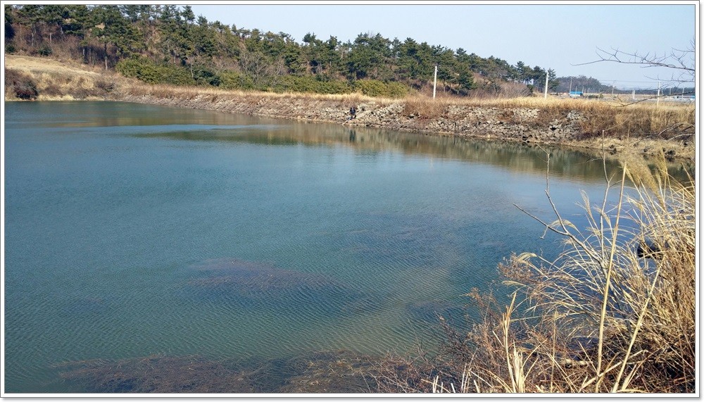 20140221_142441.jpg